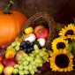 fruit, flowers, and pumpkin
