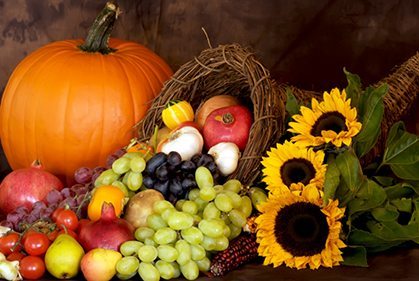 fruit, flowers, and pumpkin